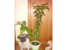 2�1-�������� � ���������.JPG