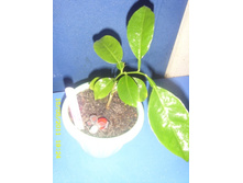 �������� ��������� �����.JPG