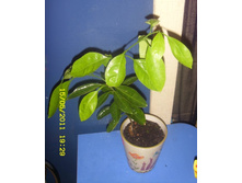 �������� ���������.JPG