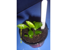 ������������ �� ���-��.JPG