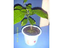 �������� ������.JPG