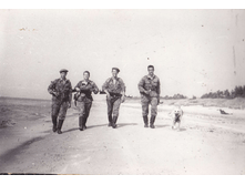 ������ �����.png