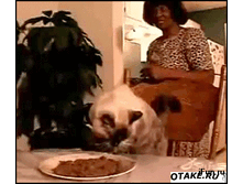 ��� � ������.gif