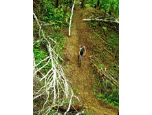 XC - �������