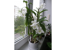 ���������� ������