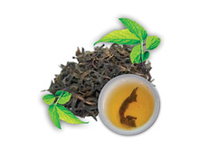 ����� ���� (�� ������) 95,4+%