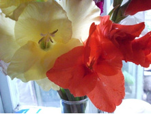 �������