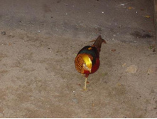 �����-�� �����:)