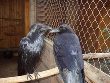 ��������!