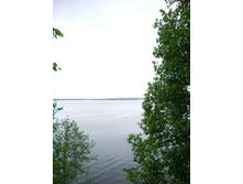 ������������ �������������