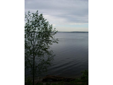 ������������ ������������� - 2