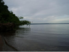 ������������ ������������� - 3