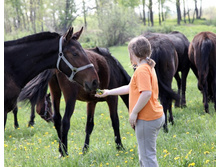 IMG_5971������� �������.jpg