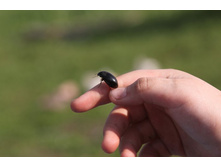 IMG_6056�������� �����.JPG