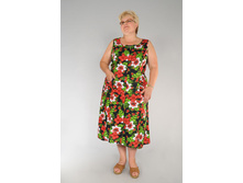 ������� ����