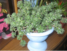 ����������� 213.jpg