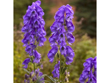 ������  90��� � ������� 15 ��