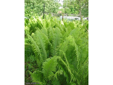 ���������� ���������  90 ���