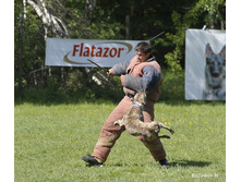 0_7e797_738d4dfd_XL.jpg
