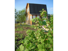 ����������� �����������