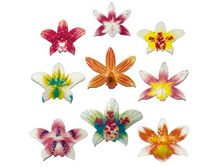 ��������� �������,���� �� 9 ��.-114,1 ���.+���.%