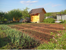 ��������� ������ ������)