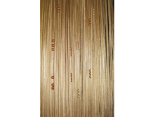 ������ ���