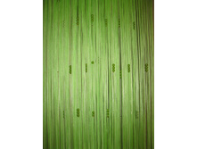 ������ ��������