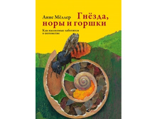 ������, ���� � ������.jpg