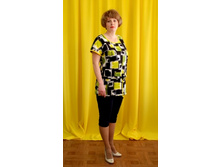 ������ ����