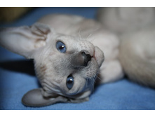 ������� 3.JPG