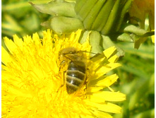DSC00059.JPG