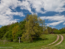 IMG_5135.JPG