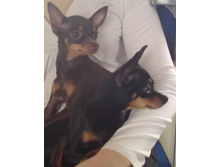 ���������� ��� ����.JPG