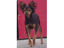 �������� �� �������.JPG