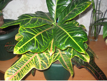 ��� � ����� 012.JPG