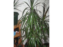 ��� � ����� 015.JPG