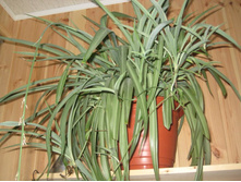 ��� � ����� 018.JPG