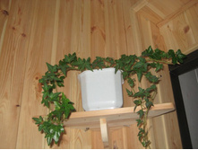 ��� � ����� 019.JPG