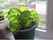 ��� � ����� 020.JPG