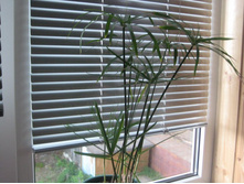 ��� � ����� 021.JPG