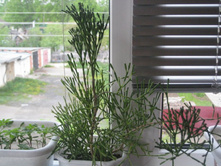 ��� � ����� 022.JPG