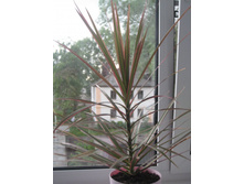 ��� � ����� 023.JPG