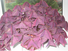 ��� � ����� 024.JPG