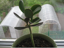 ��� � ����� 033.JPG