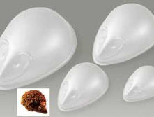 �����  ����������� ��������- ������ (�����������), ������, ������ ,���� �� �����-1700 ���.+���.%