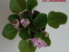 DSC05031.JPG
