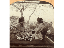 stereoview_18.gif