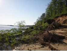 �� ������ �����