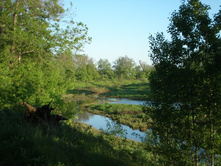 ����� ������